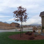 Colorado Springs New Homes | Stratmoor Heights